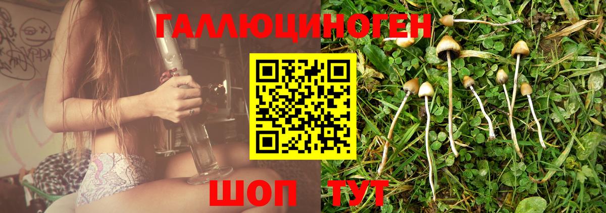 Брянск  Псилоцибиновые грибы Magic Shrooms  Вход с VPN 